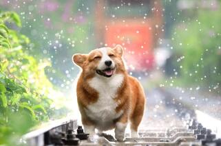 Skyler Williams