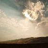 Mary Oliver on the Measure of a Life Well Lived and How to Magnify Your Aliveness